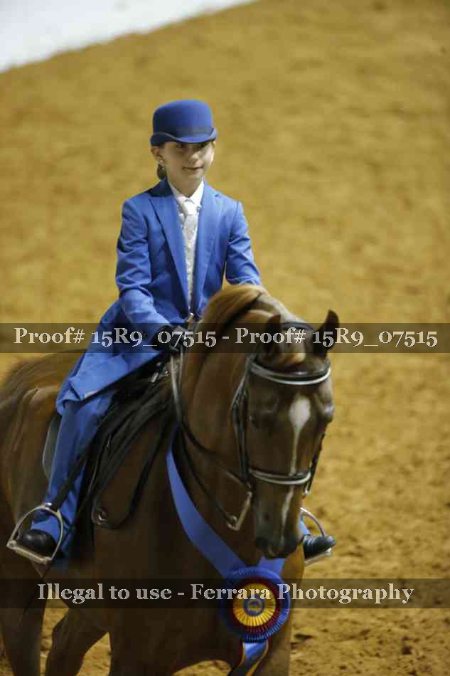 Proof 15R9_07515