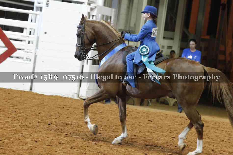 Proof 15R9_07516