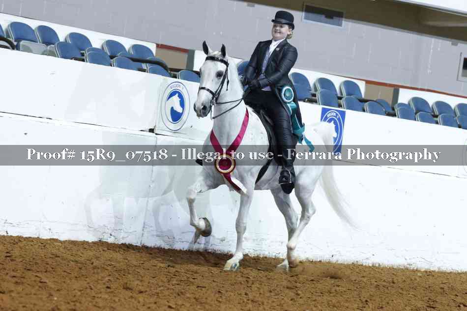 Proof 15R9_07518
