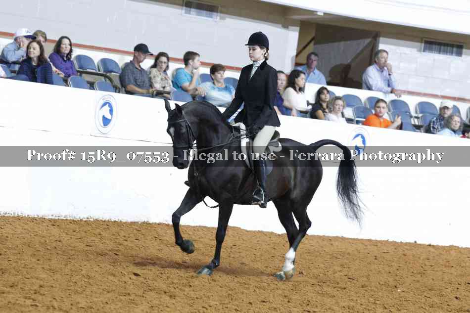 Proof 15R9_07553