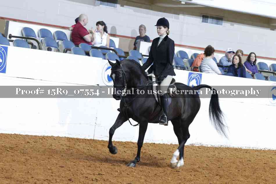 Proof 15R9_07554