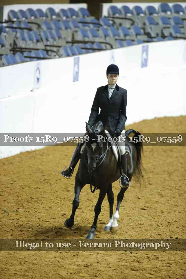 Proof 15R9_07558