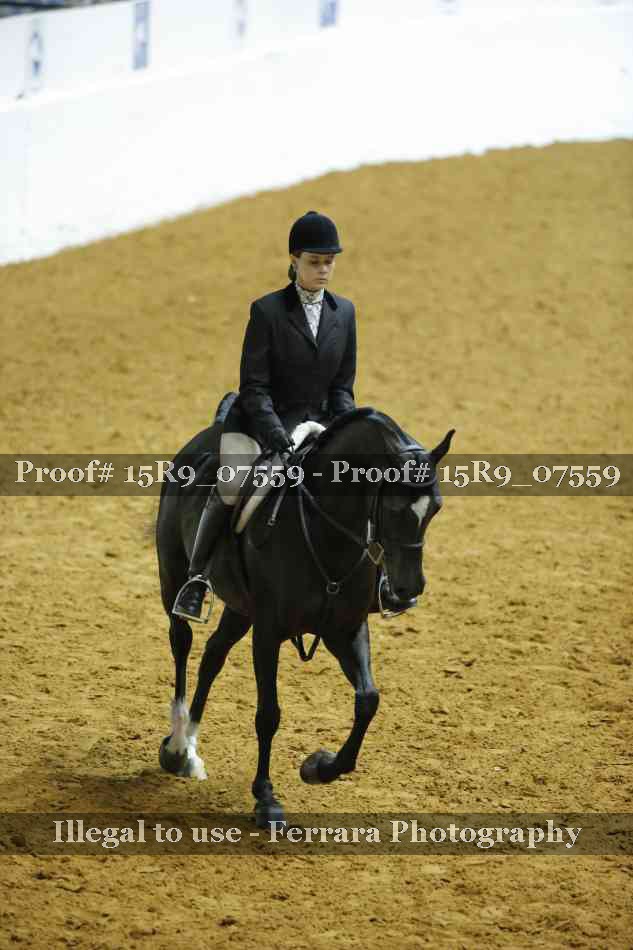 Proof 15R9_07559