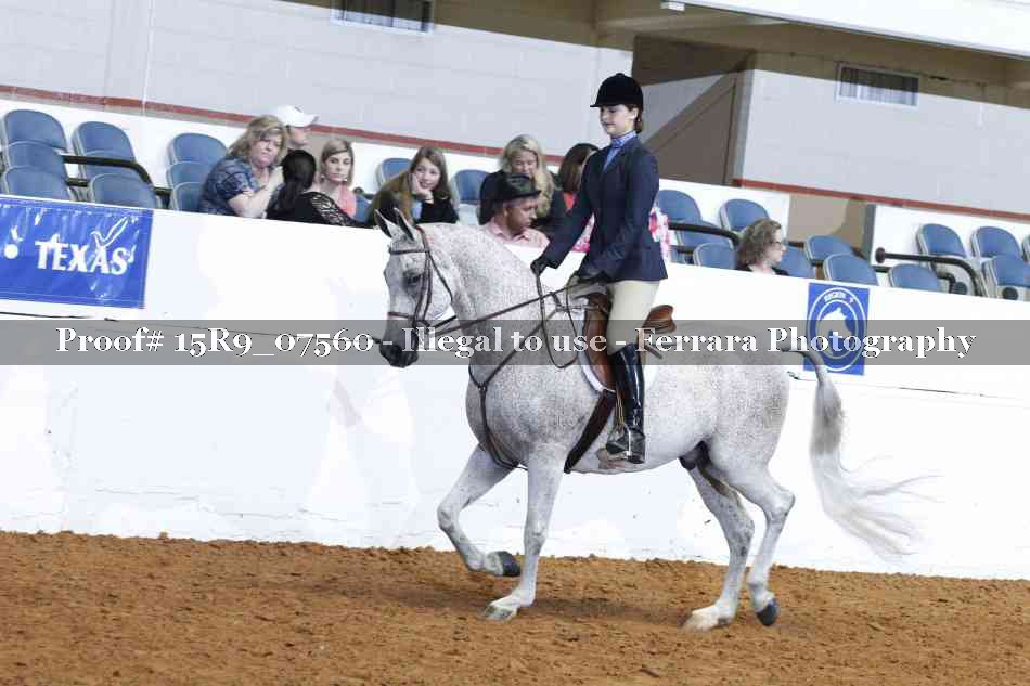 Proof 15R9_07560