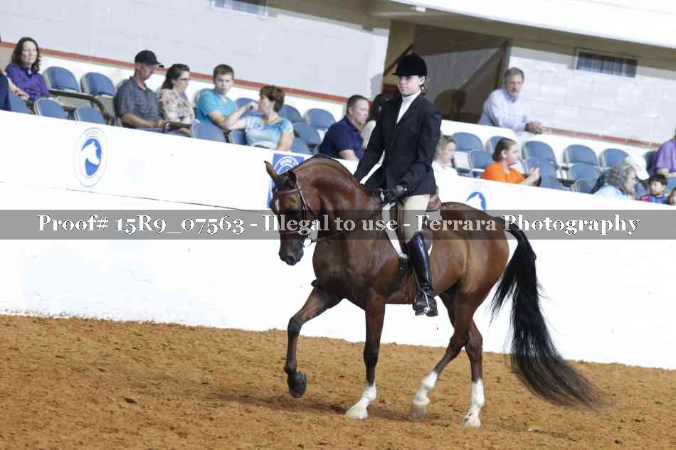 Proof 15R9_07563