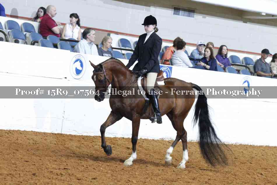 Proof 15R9_07564