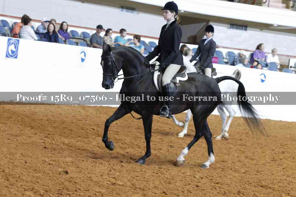 Proof 15R9_07566