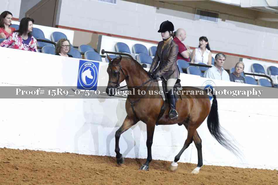 Proof 15R9_07570