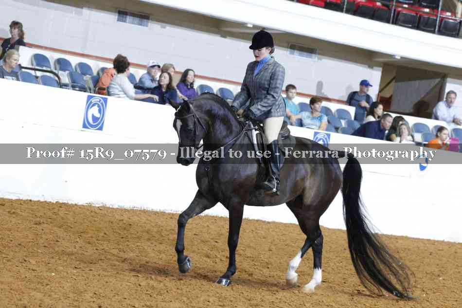 Proof 15R9_07579