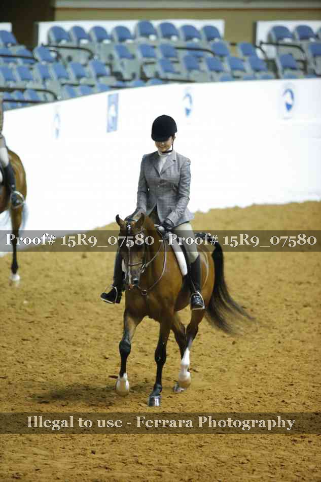 Proof 15R9_07580