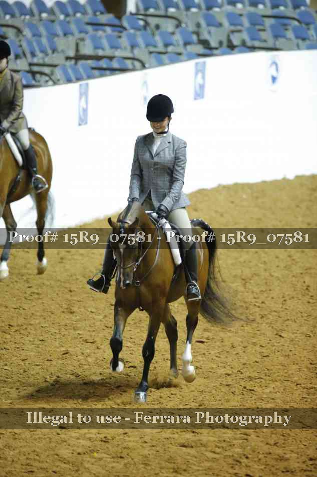 Proof 15R9_07581