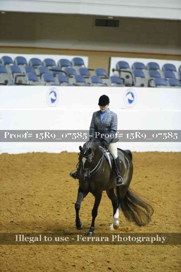 Proof 15R9_07585