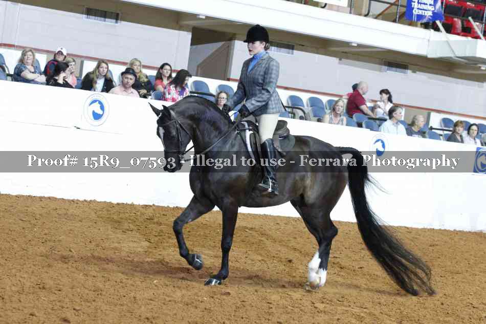 Proof 15R9_07593