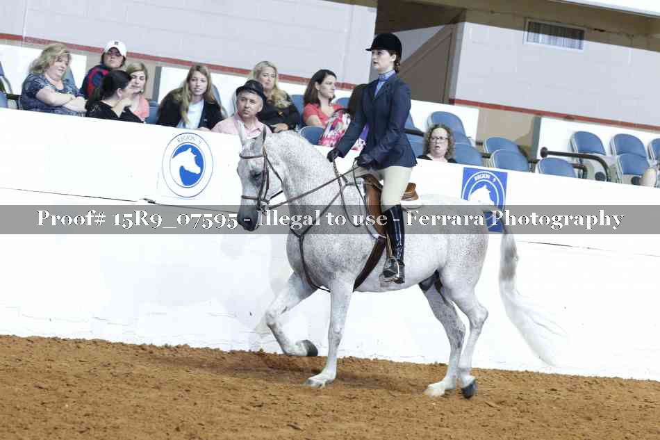 Proof 15R9_07595