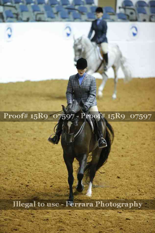 Proof 15R9_07597