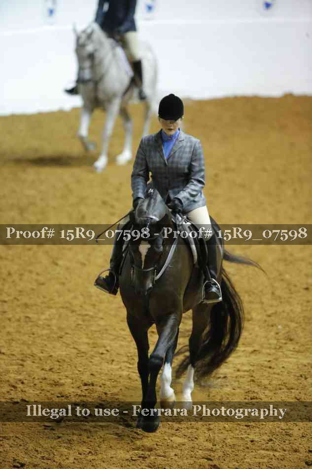 Proof 15R9_07598