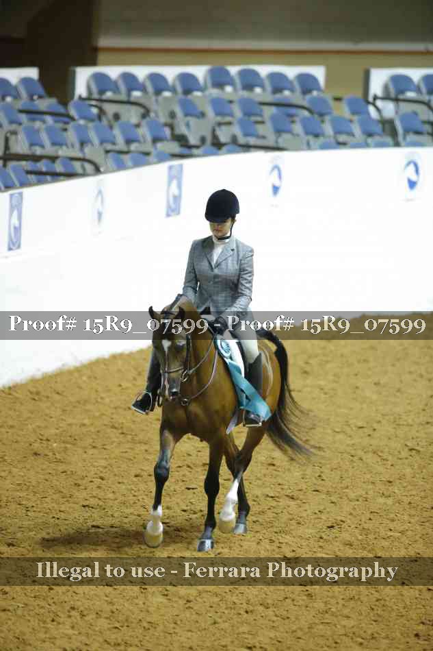 Proof 15R9_07599