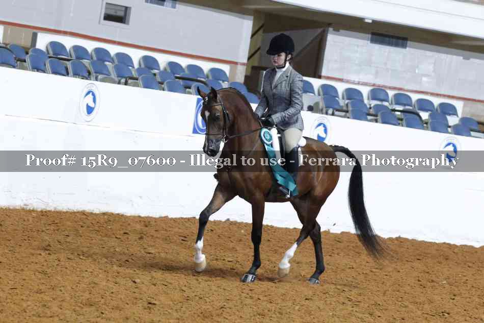 Proof 15R9_07600