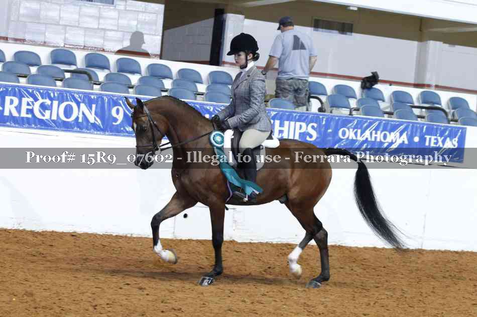 Proof 15R9_07602