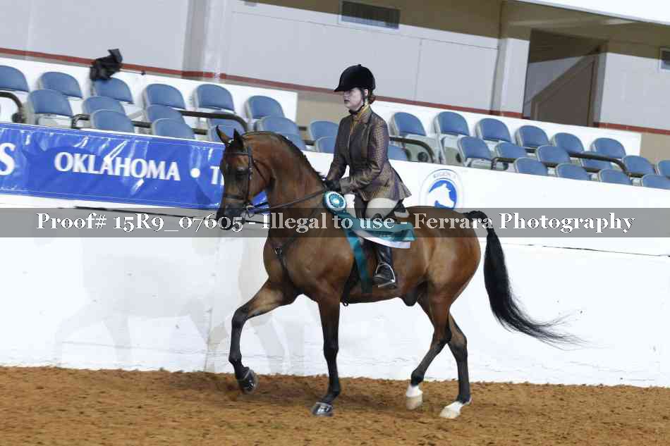 Proof 15R9_07605