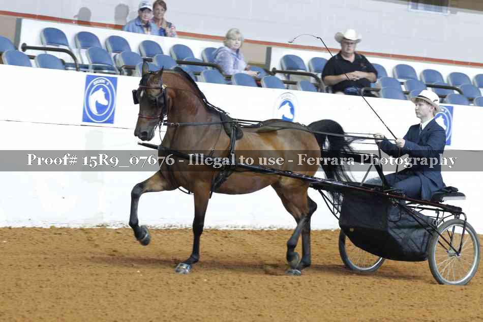 Proof 15R9_07676