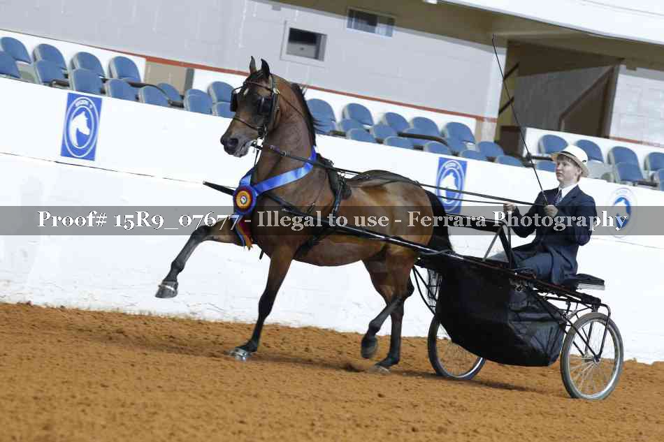 Proof 15R9_07677