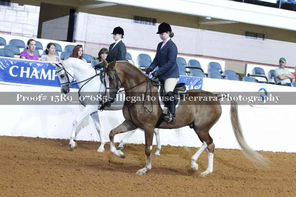 Proof 15R9_07685
