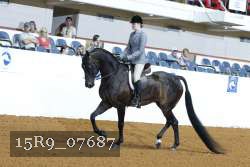 15R9_07687 proof