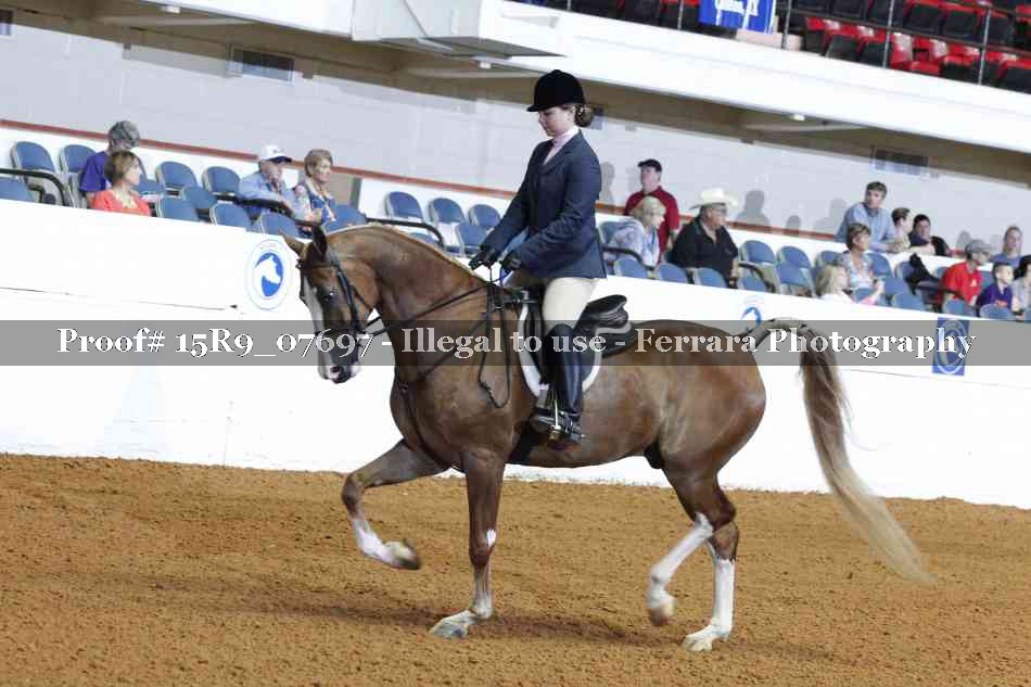 Proof 15R9_07697