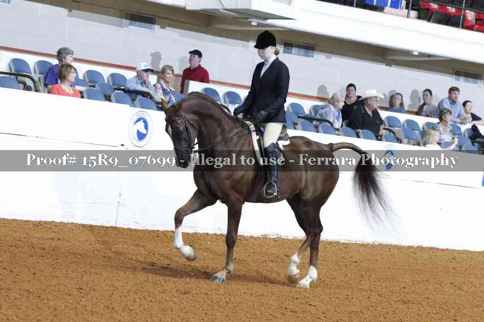 Proof 15R9_07699
