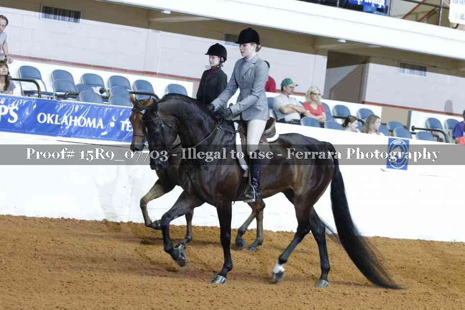 Proof 15R9_07703