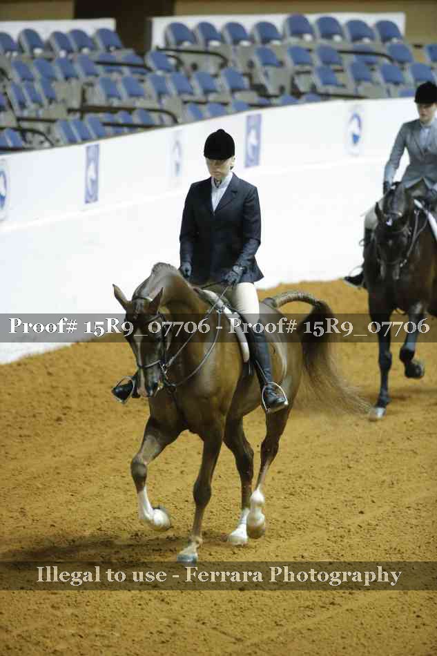 Proof 15R9_07706