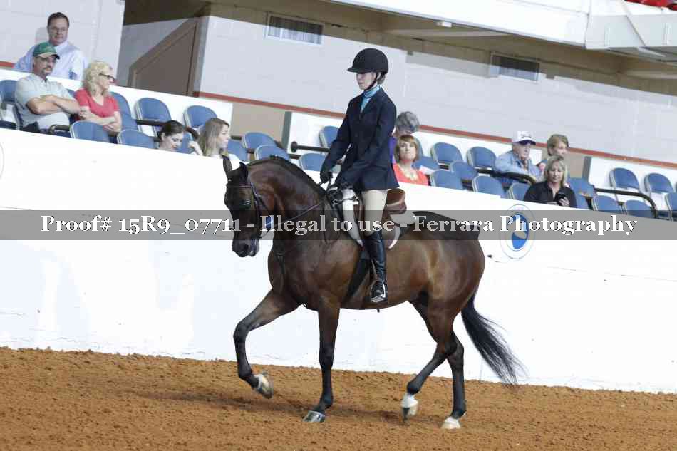 Proof 15R9_07711