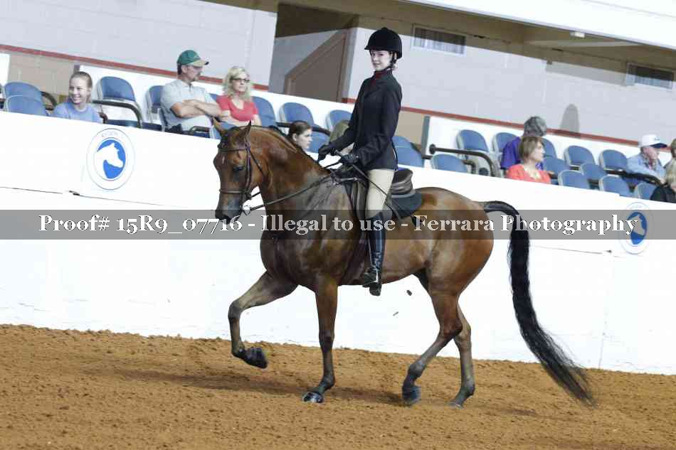 Proof 15R9_07716