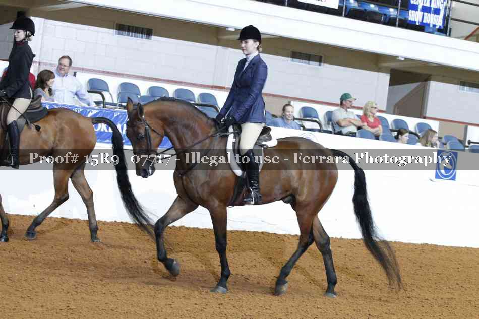 Proof 15R9_07717