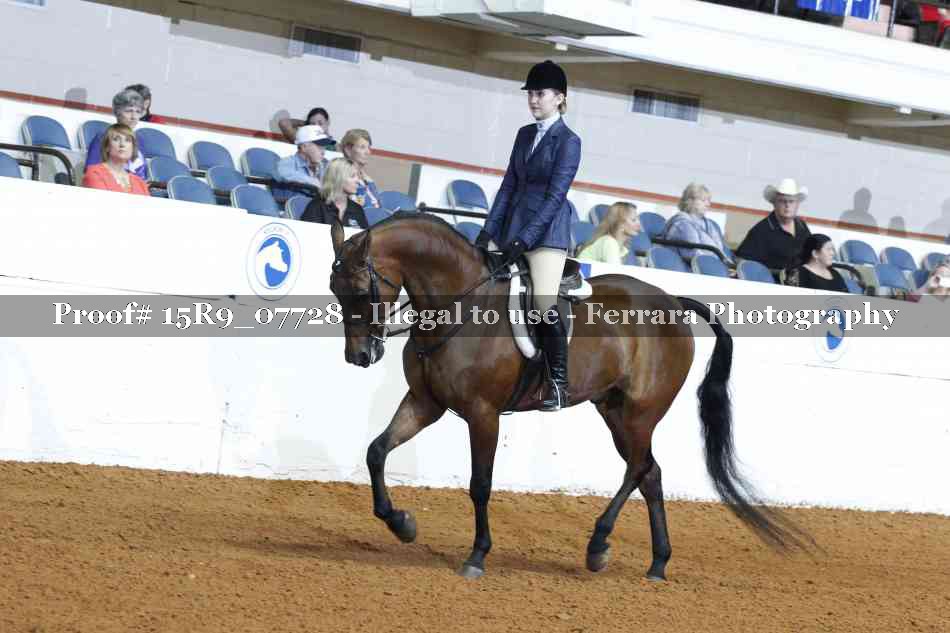 Proof 15R9_07728