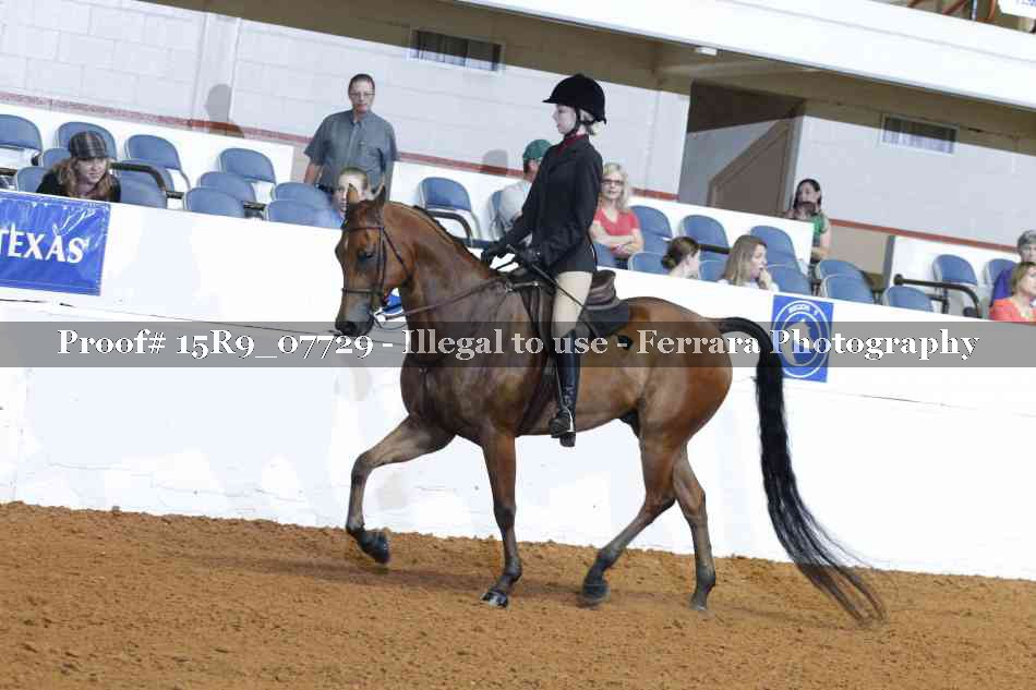 Proof 15R9_07729