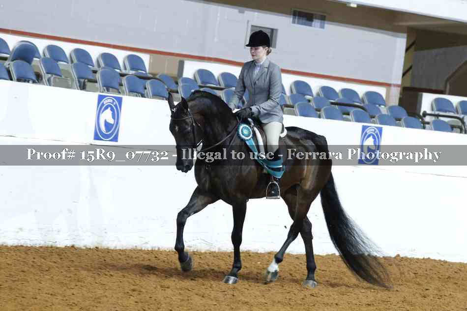 Proof 15R9_07732