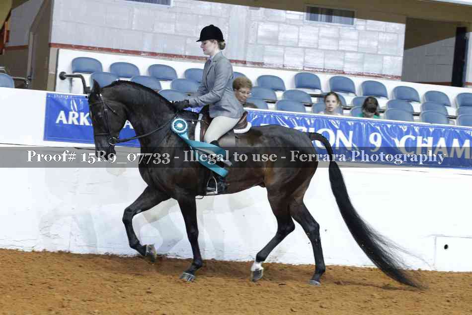 Proof 15R9_07733