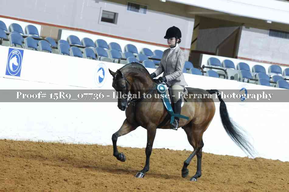 Proof 15R9_07736