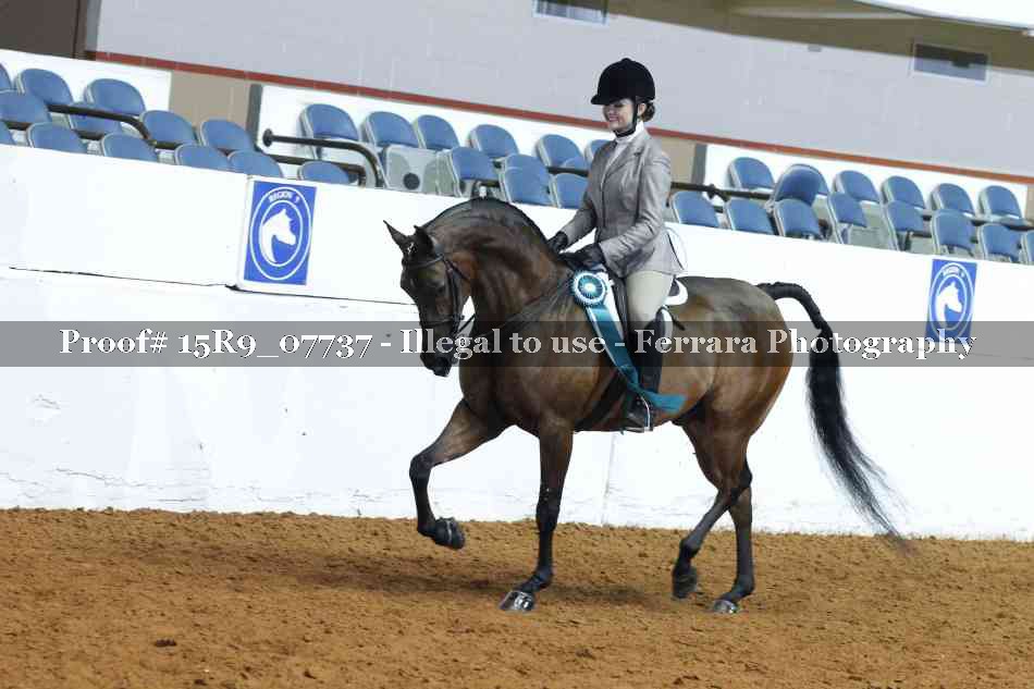 Proof 15R9_07737