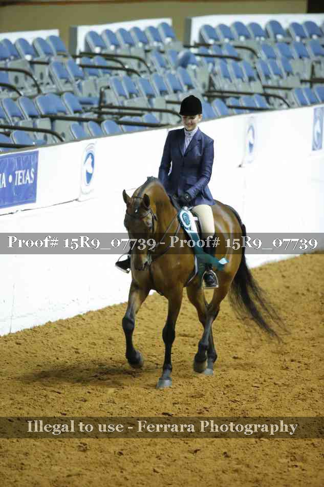 Proof 15R9_07739