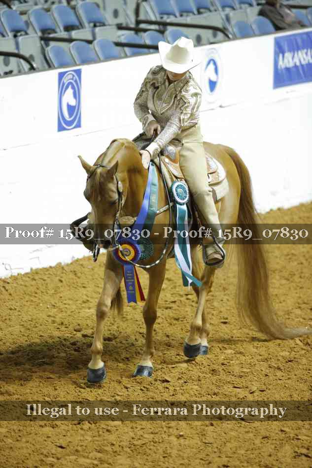 Proof 15R9_07830