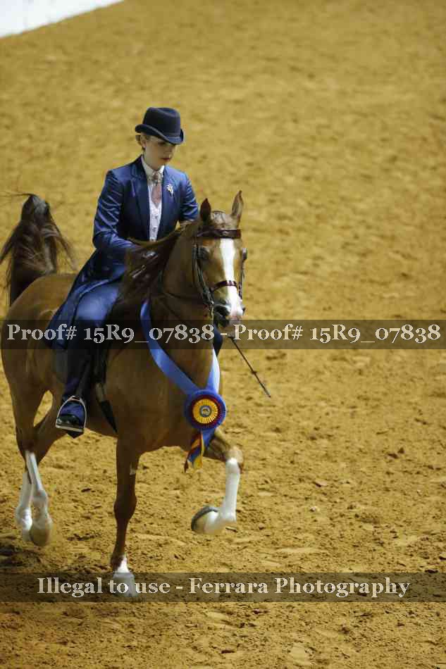 Proof 15R9_07838
