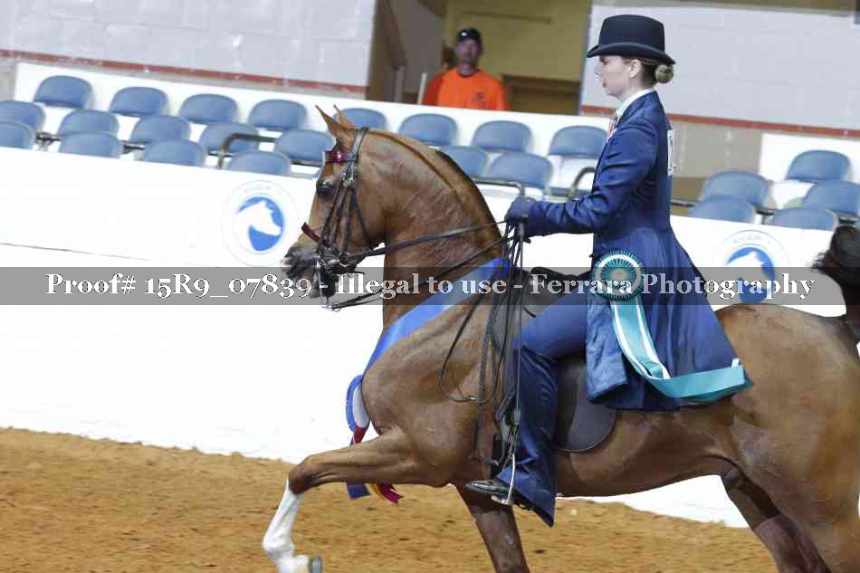 Proof 15R9_07839