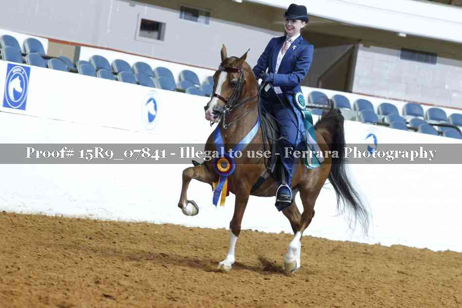 Proof 15R9_07841