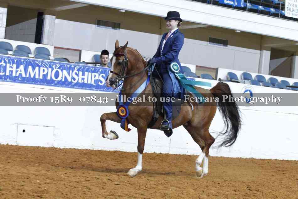 Proof 15R9_07843