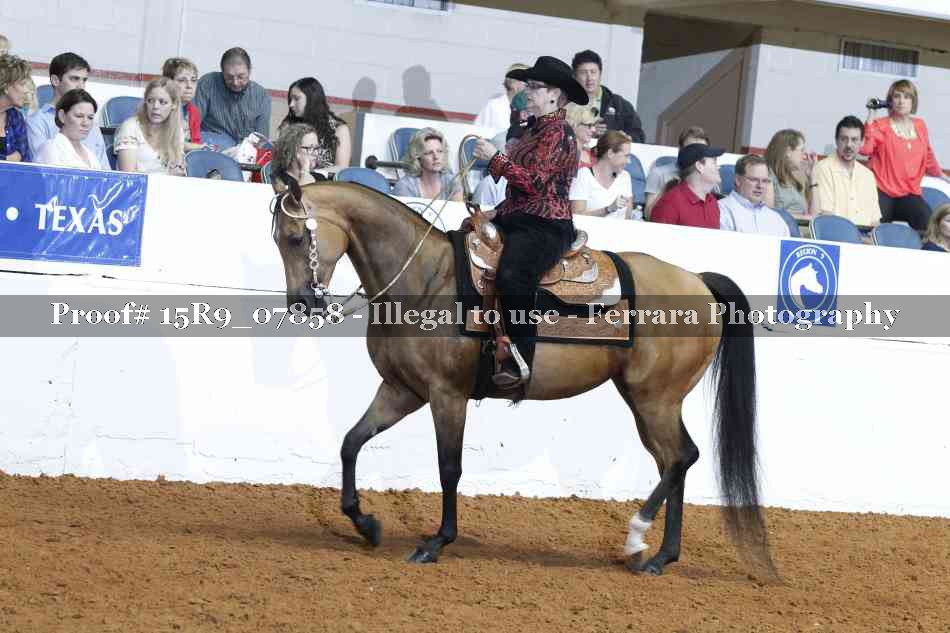 Proof 15R9_07858