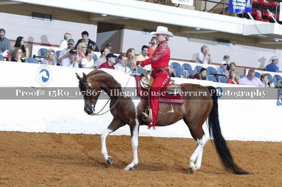 Proof 15R9_07867