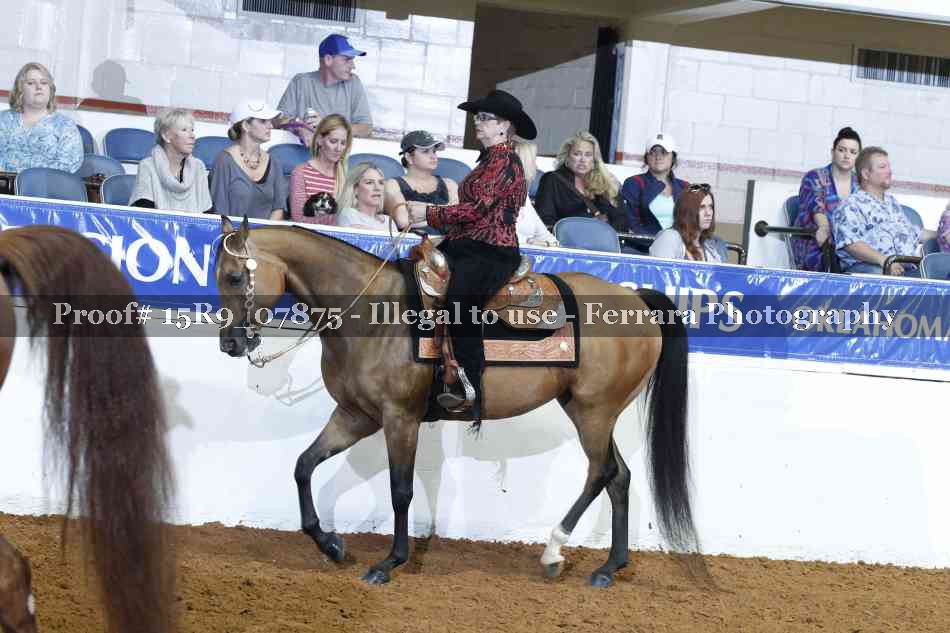 Proof 15R9_07875